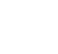 Tempus Palace